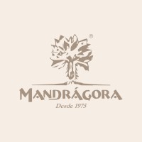Mandrágora Decor logo - Similar company to Ac Officine Decor