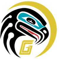 Goldbelt Nighthawk, LLC logo - Similar company to Analyst'S Copilot