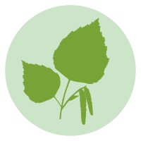 Betula Environmental logo - Similar company to Fel Scotland