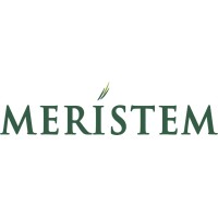 Meristem Nigeria logo - Similar company to Ava Capital Group