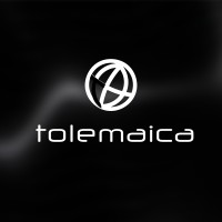 Tolemaica logo - Similar company to Flashcrm.It