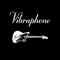 Vibraphone Records logo - Similar company to Hotelier Global