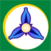 Iris Solar Australia logo - Similar company to Iris Solar Technology