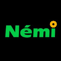 NEMI Power Solutions logo - Similar company to Lion Ev