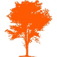 WAO CONSULTORIA logo - Similar company to Waao