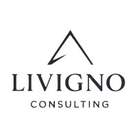 Livigno Consulting - Forensics & Dispute Resolution logo - Similar company to Lovaz