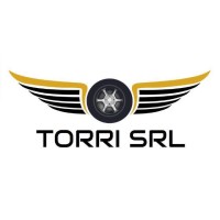 Torri S.r.l. logo - Similar company to Ariel Car