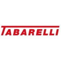 TABARELLI SPA logo - Similar company to Idromec Spa