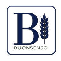 Buonsenso logo - Similar company to Buonsenso