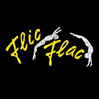 Flic Flac Erfurt logo - Similar company to 1991 Project