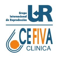 CEFIVA SL logo - Similar company to Ilitia Solution