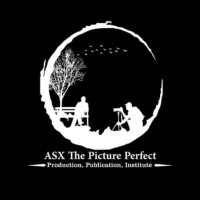 ASX The Picture Perfect logo - Similar company to Briddell Capital