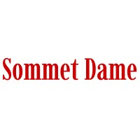 Sommet Dame Magazine logo - Similar company to Damemagazine.Com