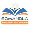 Somandla Entrepreneurship Academy logo - Similar company to Handyware Food Technologies