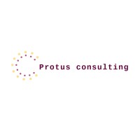 Protus Consulting logo - Similar company to Protus Ip Solutions