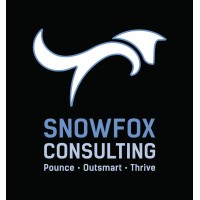 Snowfox Consulting logo - Similar company to Launchcrew Consulting