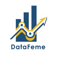 Data Feme logo - Similar company to Comsolutions-Technical Services