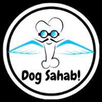 Dogsahab logo - Similar company to Theeart