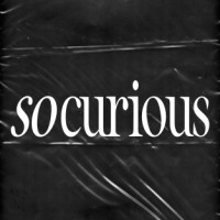 so curious logo - Similar company to Cannvitro
