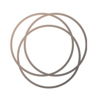 Global BOOS Group logo - Similar company to Ambulances Boos