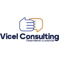 Vicel Consulting Group logo - Similar company to Motor Match