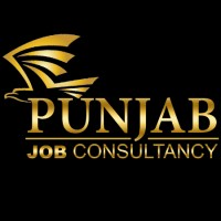 Punjab Job Consultancy logo - Similar company to It Ministers