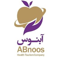 Abnoos Medical Tourism logo - Similar company to Abnoosclinic