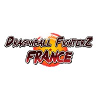DBFZ France logo - Similar company to Kinava