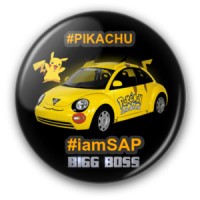 SAP Jobs GAME PLAYERS in India OFFICIAL 2020 logo - Similar company to Aj Groups