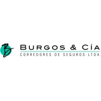 Burgos y Cía Corredores de Seguros logo - Similar company to Loop Seguros