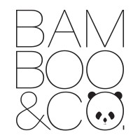 Bamboo&Co logo - Similar company to Bamboo & Co