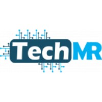 TechMR logo - Similar company to Ixora Technologies
