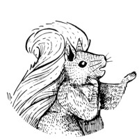 Squirrel Squared Limited logo - Similar company to Ironbridge Financial Services