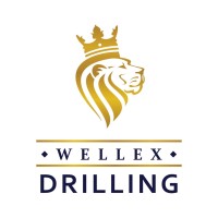 Wellex Drilling logo - Similar company to Obreliza (Pty)Ltd