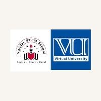 Virtual STEM School logo - Similar company to Dr. Mariam Chughtai