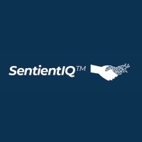 SentientIQ™ logo - Similar company to Dth Consulting Services