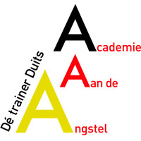 Academie Aan de Angstel logo - Similar company to Licent Academy