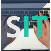 SynergIT logo - Similar company to Synergit