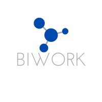 BIWORK logo - Similar company to Datawaves