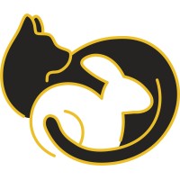 CAT N BUNNY logo - Similar company to Cleos Cat Cafe