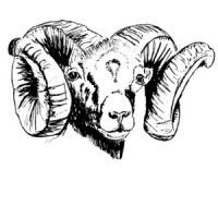 WÄDUR - Linnaeus University logo - Similar company to Qsimbo Ab