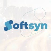 Softsyn soluções em segurança da informação logo - Similar company to Cypher Security