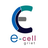 E-Cell GRIET logo - Similar company to E-Cell, Mlritm