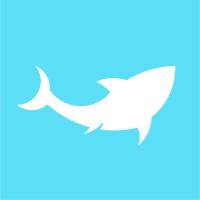 Media-Shark logo - Similar company to Mediashark.In