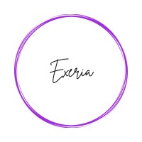 Exeria Proxecto logo - Similar company to Micofer Boiro