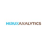 HIRUZ ANAYLTICS logo - Similar company to Primelytics