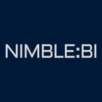 NIMBLE:BI logo - Similar company to Paregos