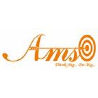 Amaravadhis software Services Pvt Ltd logo - Similar company to Vedham Tech Solutions