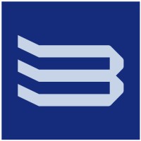 Bluesen logo - Similar company to Blue Sky System Pvt. Ltd.