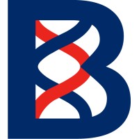 Bramante Biologics (YC X25) logo - Similar company to Protein Evolution